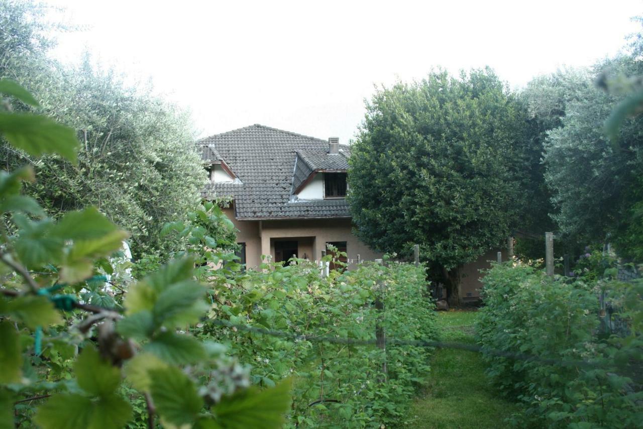 Agriturismo Badalone Domaso Eksteriør billede